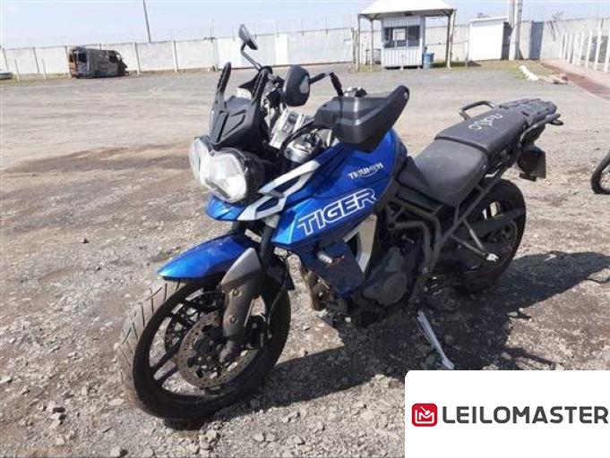 TRIUMPH TIGER 800 19/19
